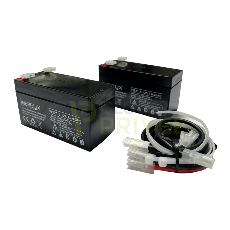Kit batterie pour moteur DEA 24V Kit batterie pour moteur DEA 24V