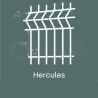 Grillage / Panneau Rigide Hercules - 200x55 - fil 5mm