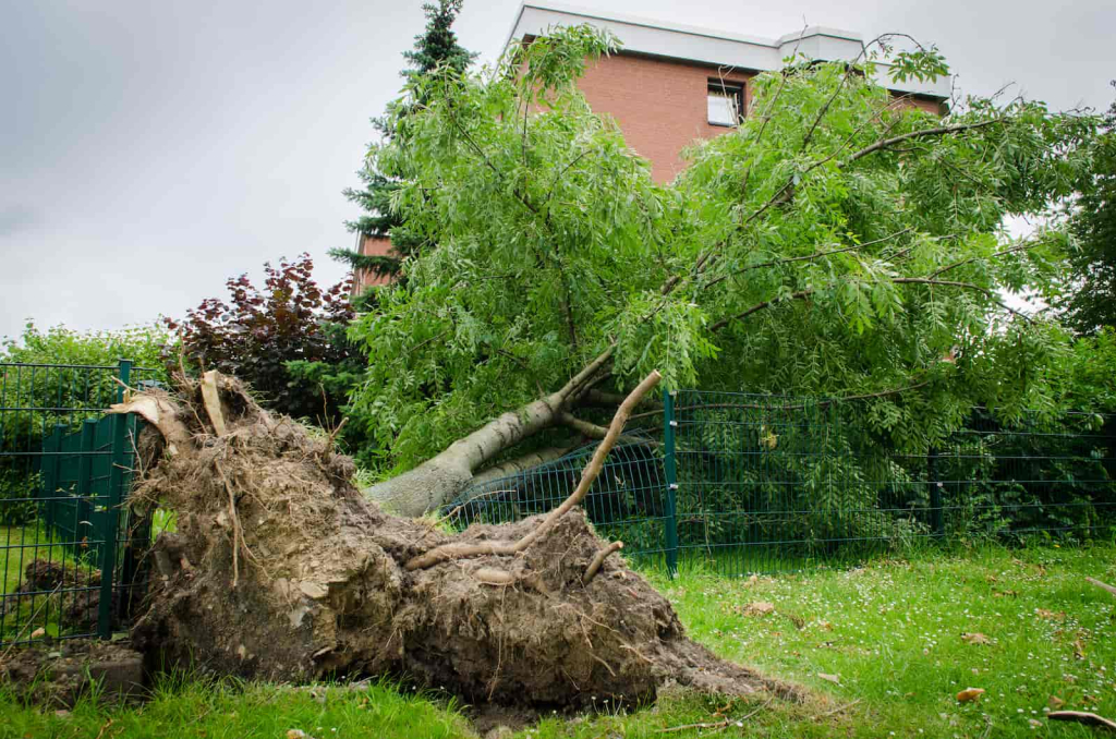 Comment Renforcer une Clôture contre le Vent — free download