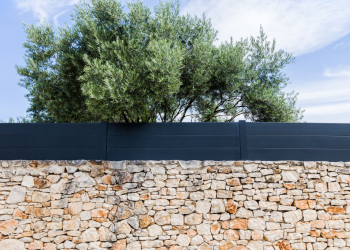 Profitez du printemps pour embellir votre jardin !