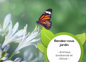 Rendez-vous jardin spécial « animaux au jardin » : Clôturez et protégez-les