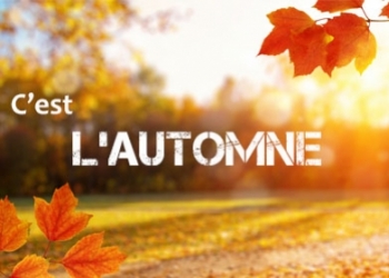 Profitez de cette jolie saison de l'automne pour poser votre clôture !