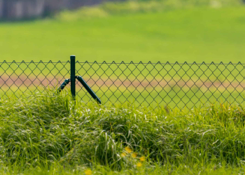 Le grillage de jardin, découvrez les différents choix et types